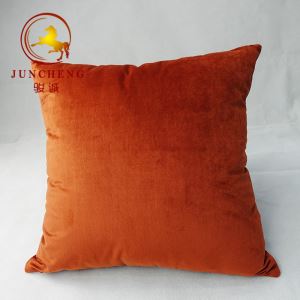 Housse de coussin en velours
