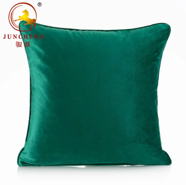Housse de coussin vierge