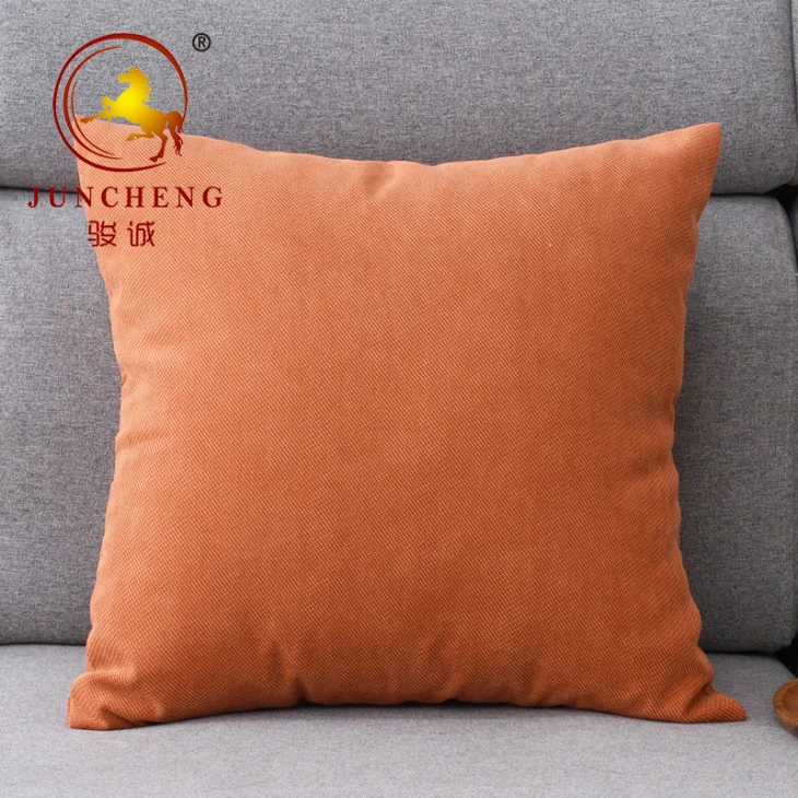 Coussin en velours de polyester