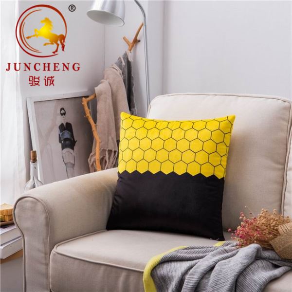 Housses de coussin 100 % polyester.